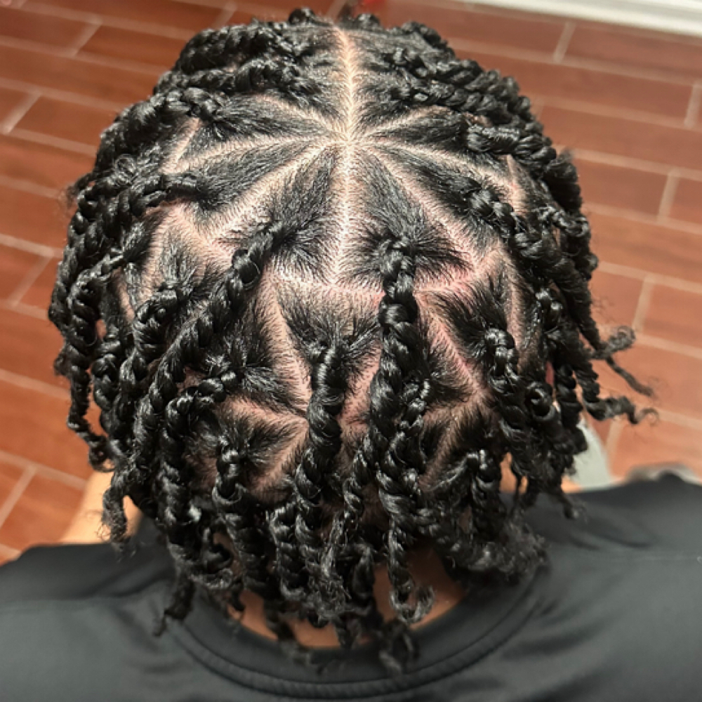 Men Plaits/ 2 strand Twist at Beauty Rhon-Da-Show in Memphis, TN