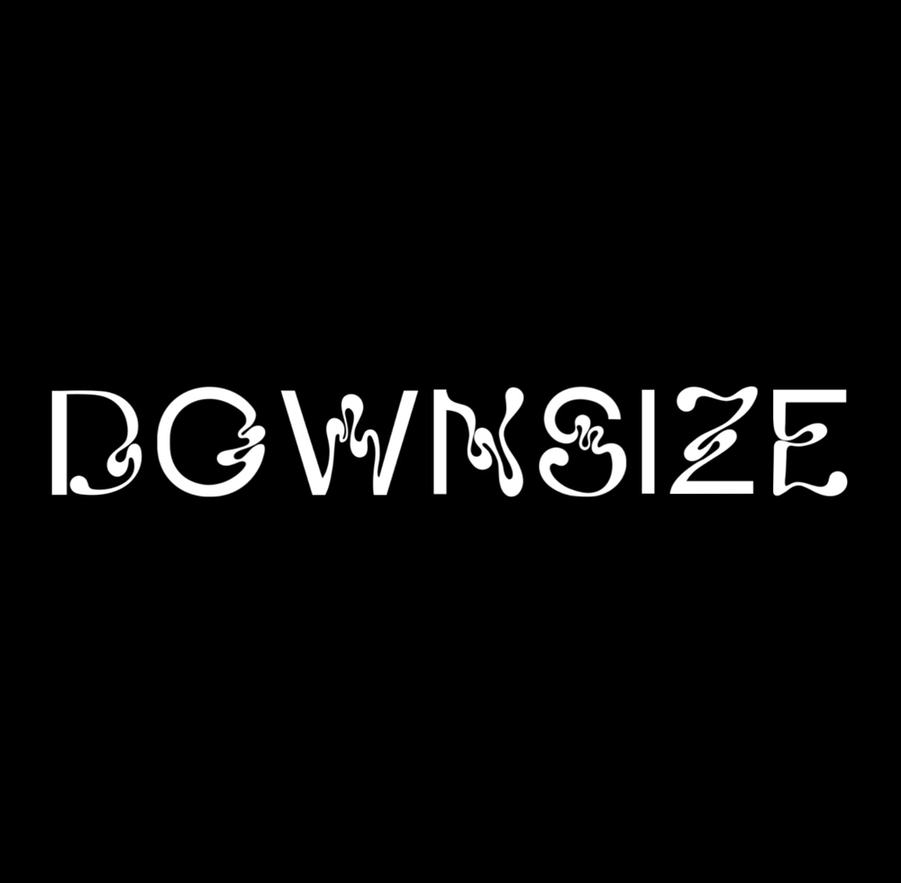 Downsize
