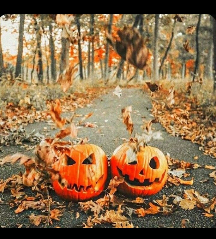 Pumpkin Spice Signature Facial