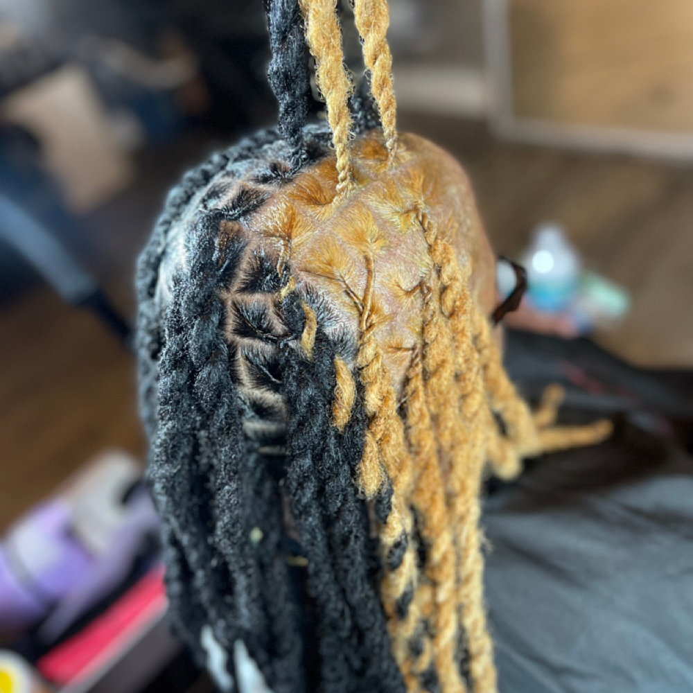 Locs Partial Color at Dose Of Elle LLC in Tallahassee, FL