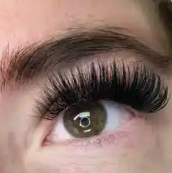 VOLUME LASHES