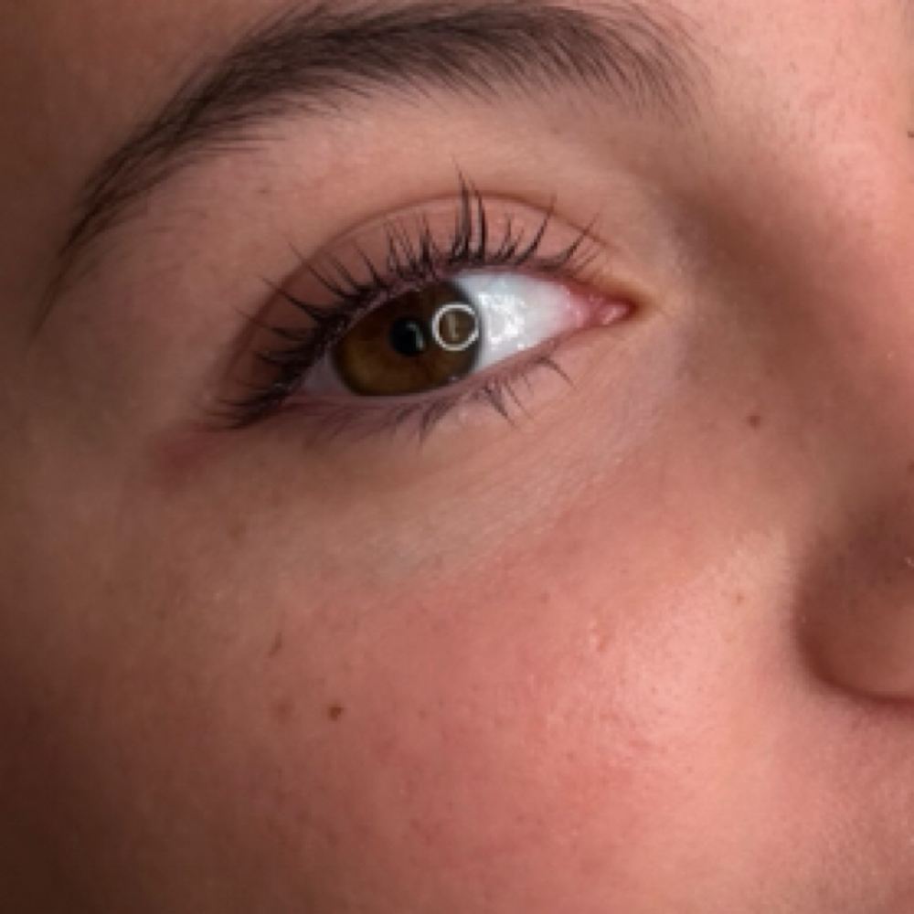 Lash&Brow Combo at Wildflower Aesthetics in New Port Richey, FL