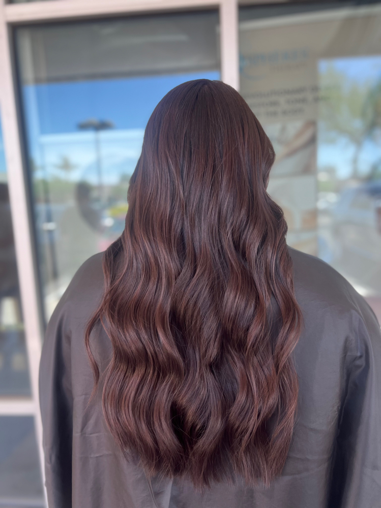 All Over Color- LONG/THICK hair