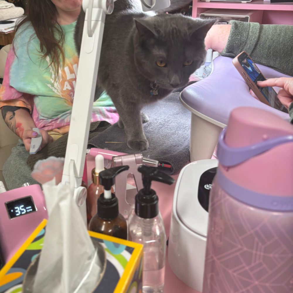 Gel Removal(Read Description) at Only A Kay Away in Harmony, PA