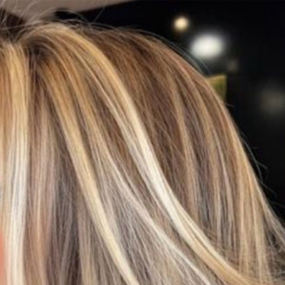 Mini Highlight at The Organic Studio in Temecula, CA