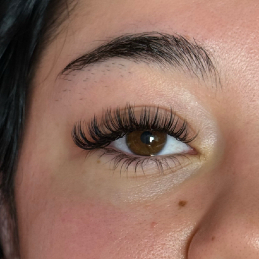 Hybrid Lash Extensions at beautybyhavenn in Jackson, MI