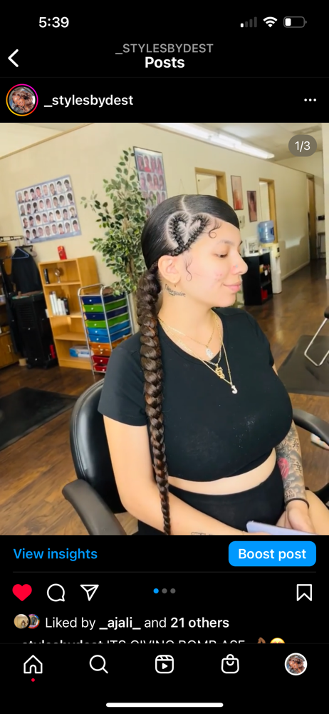 Sleek Braided Ponytail W/ Swoop