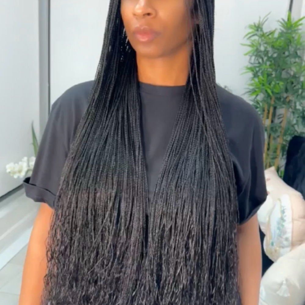 NC-Goddess Micro Twist at STYLESBYHIPS LLC. in North Miami, FL