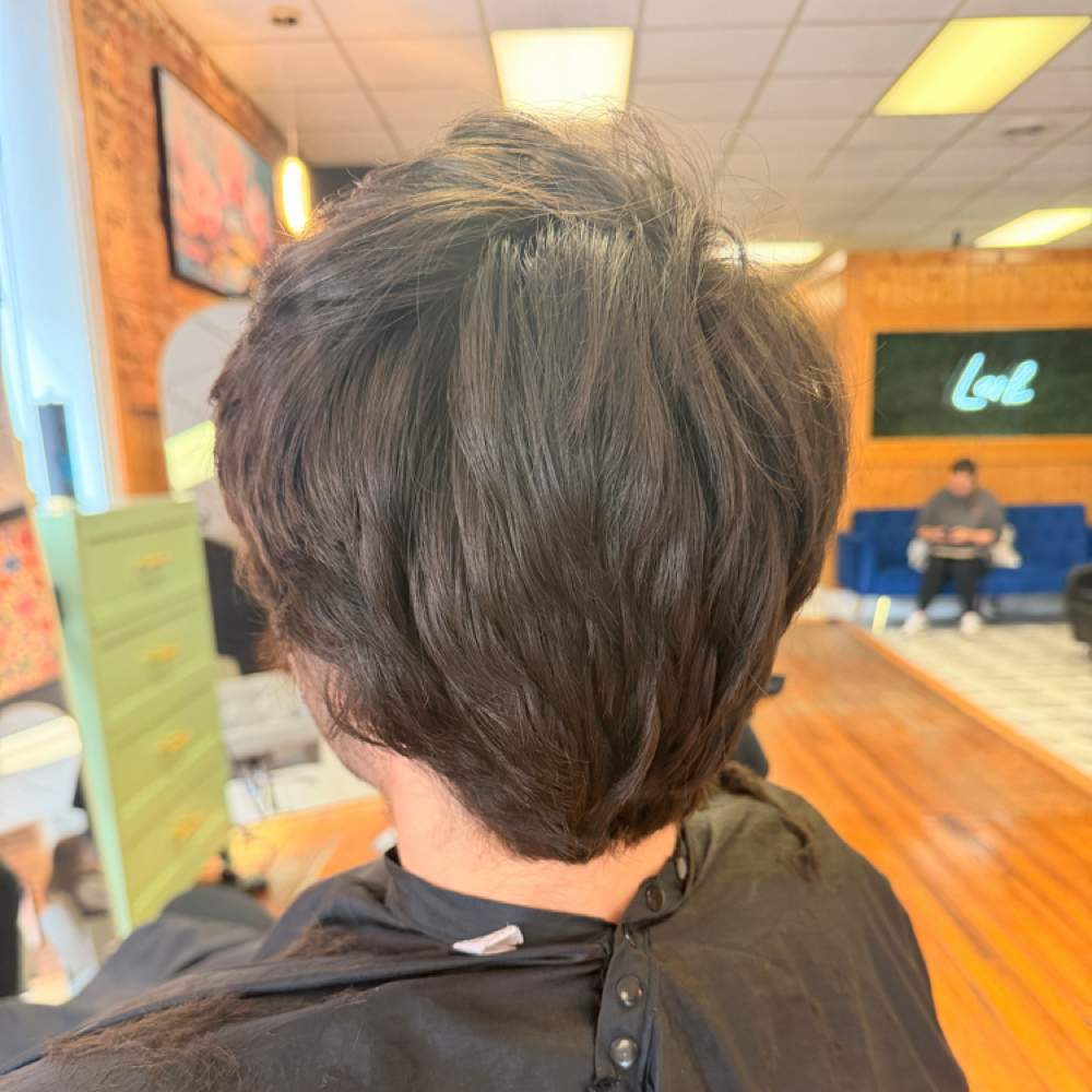 Short Cut at Rayne Beauty LLC in Salem, VA