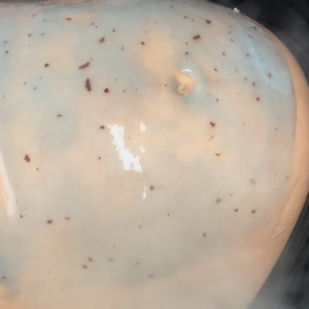 The Golden Bump 💛 at Divine Beauty Cove in Lumberton, NC