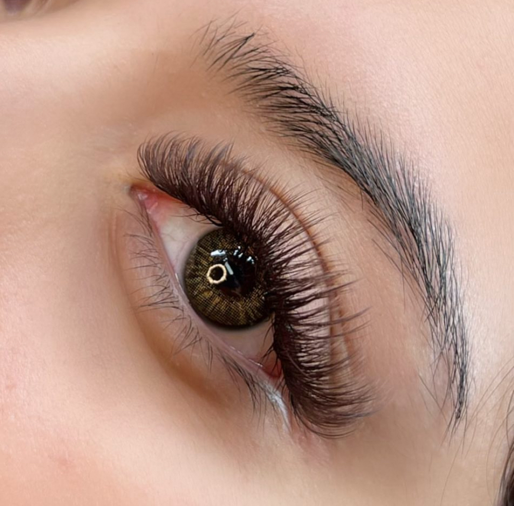 Brown Set