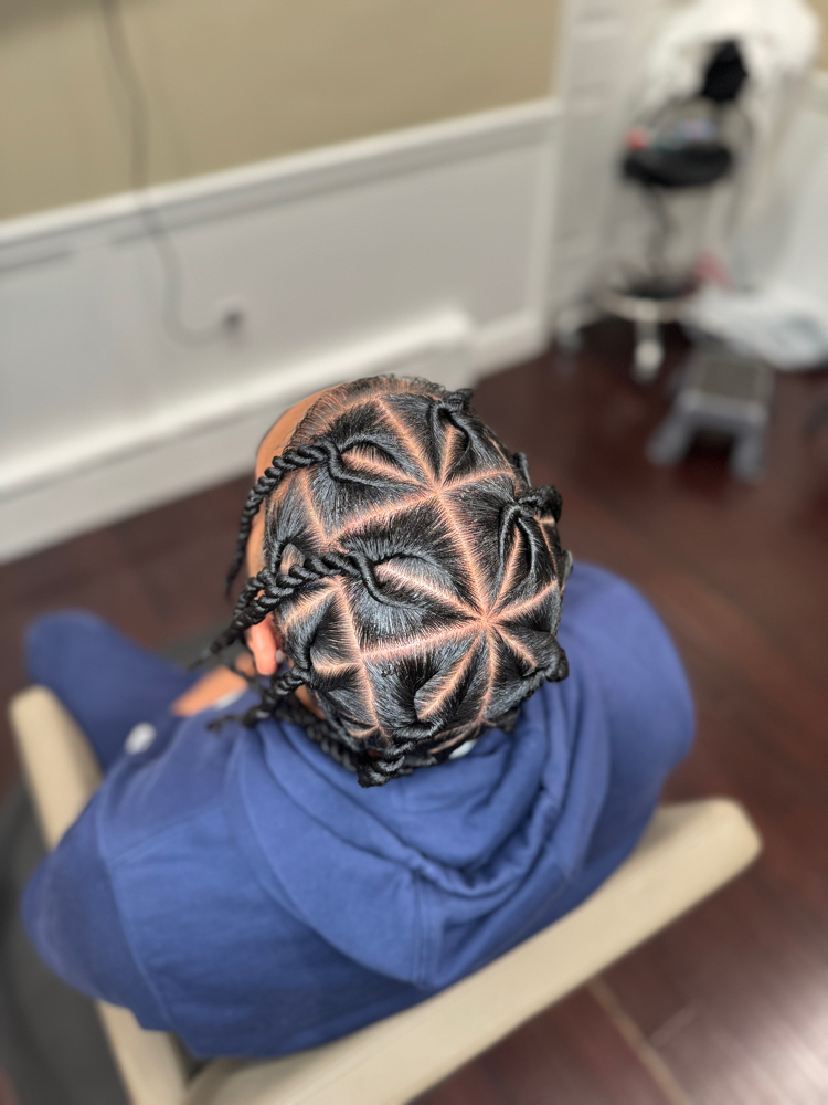 Large Flat Twist or Box Braids