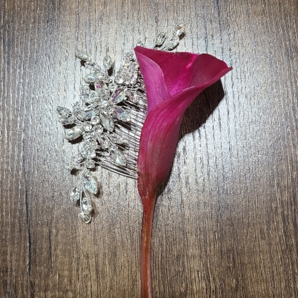 Shampoo & Blowout Style