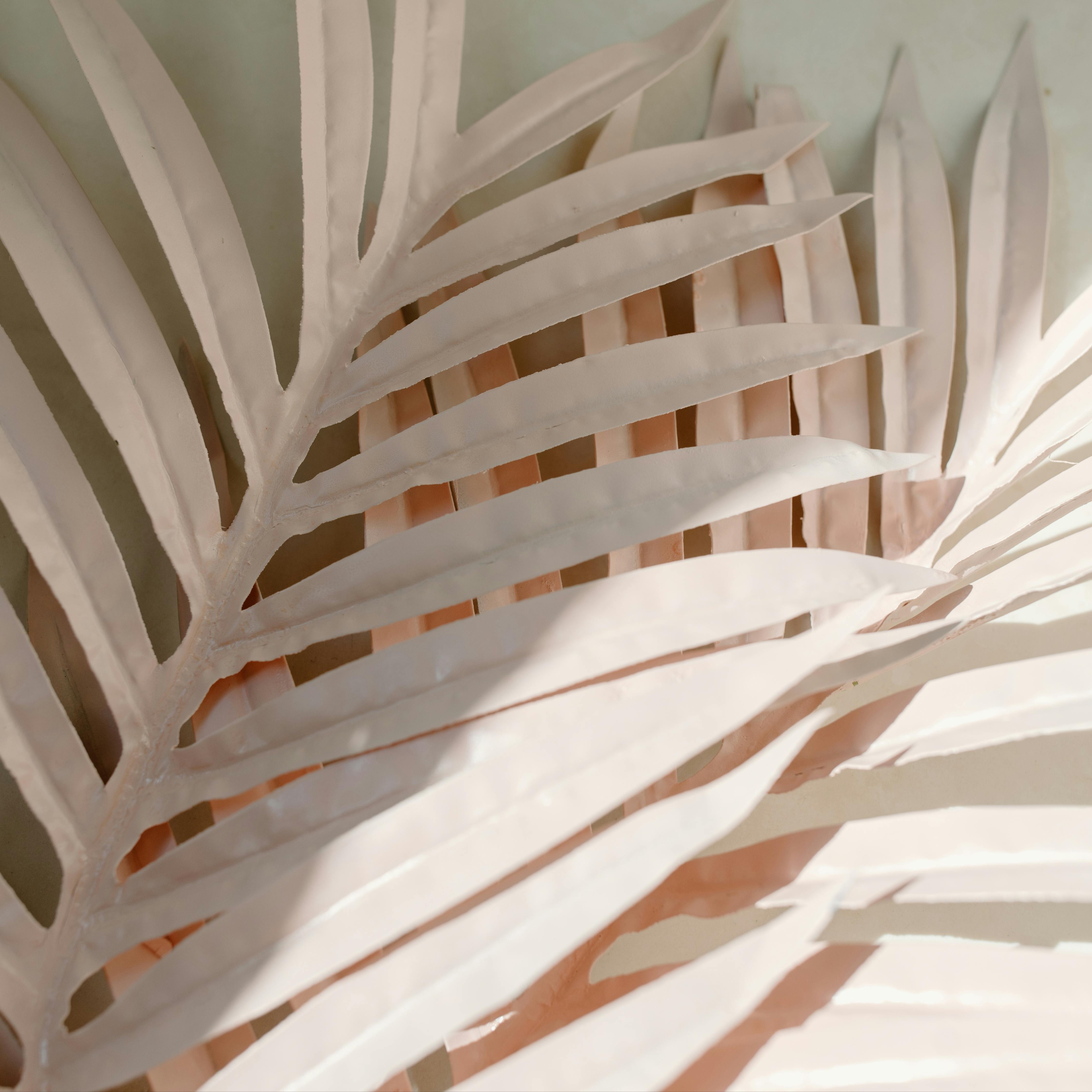 The Radiance Treatment at Belove Skin Studio in Charlotte, NC