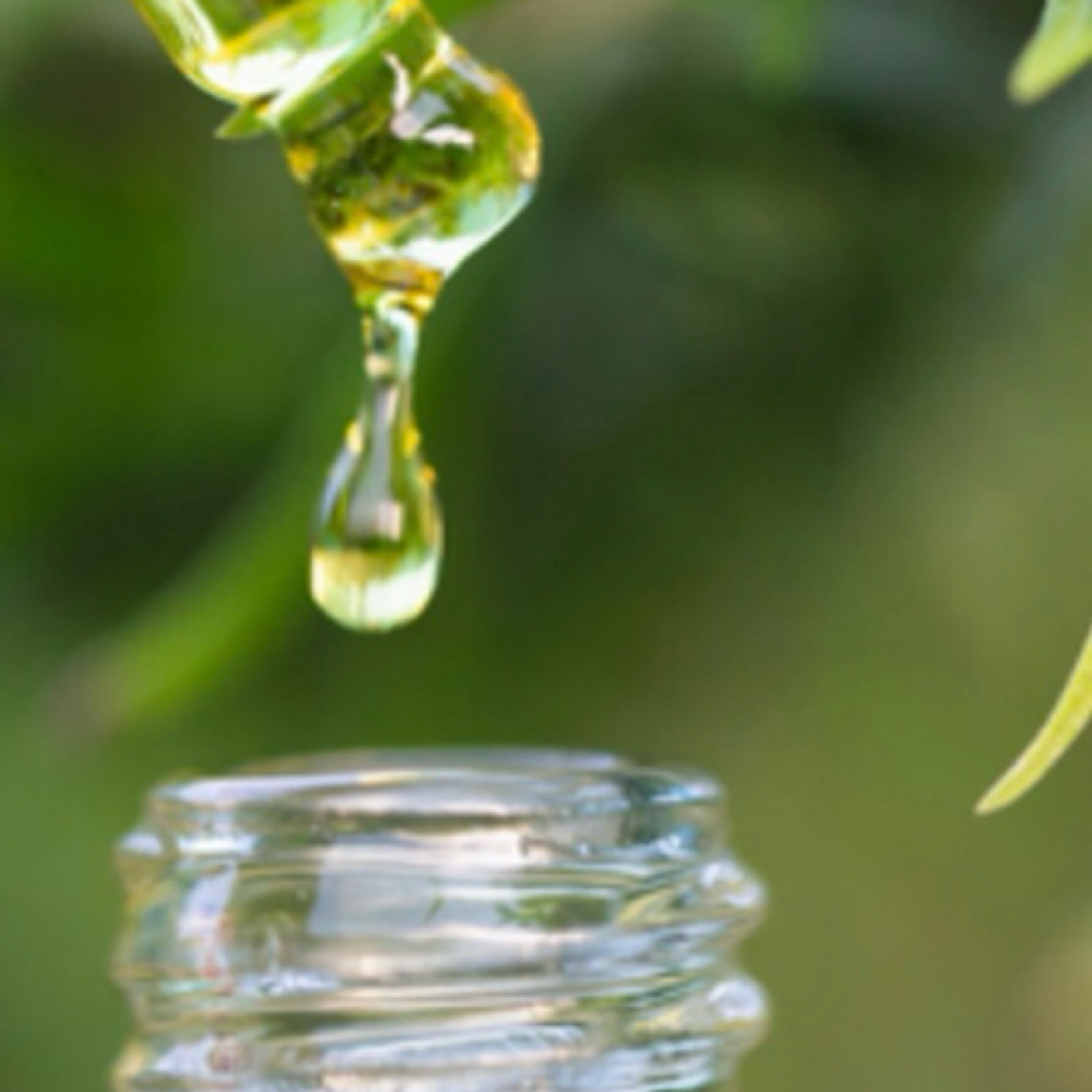 Cannabidiol Calm & Restore Head Spa