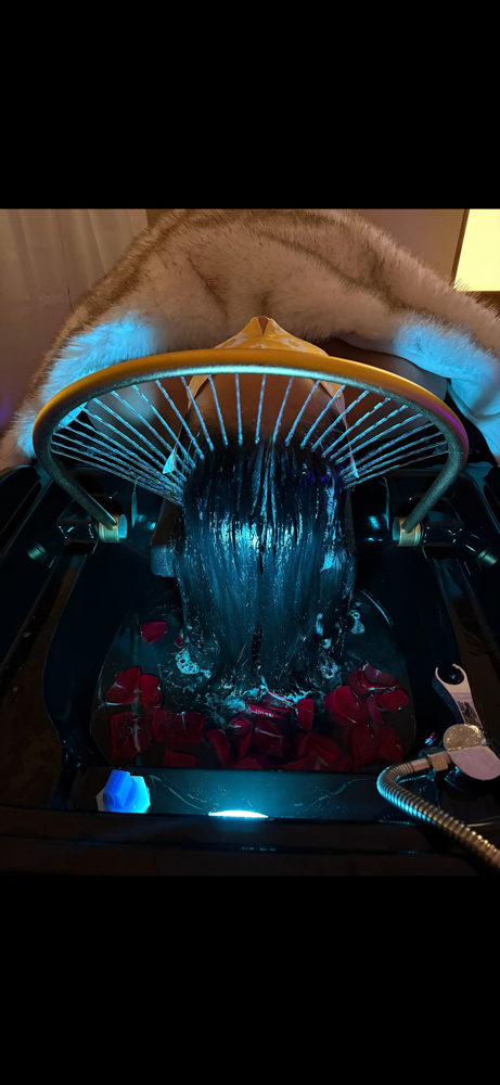Premier Japanese Head Spa at Luxuria Skin & Lash Creations in San Antonio, TX