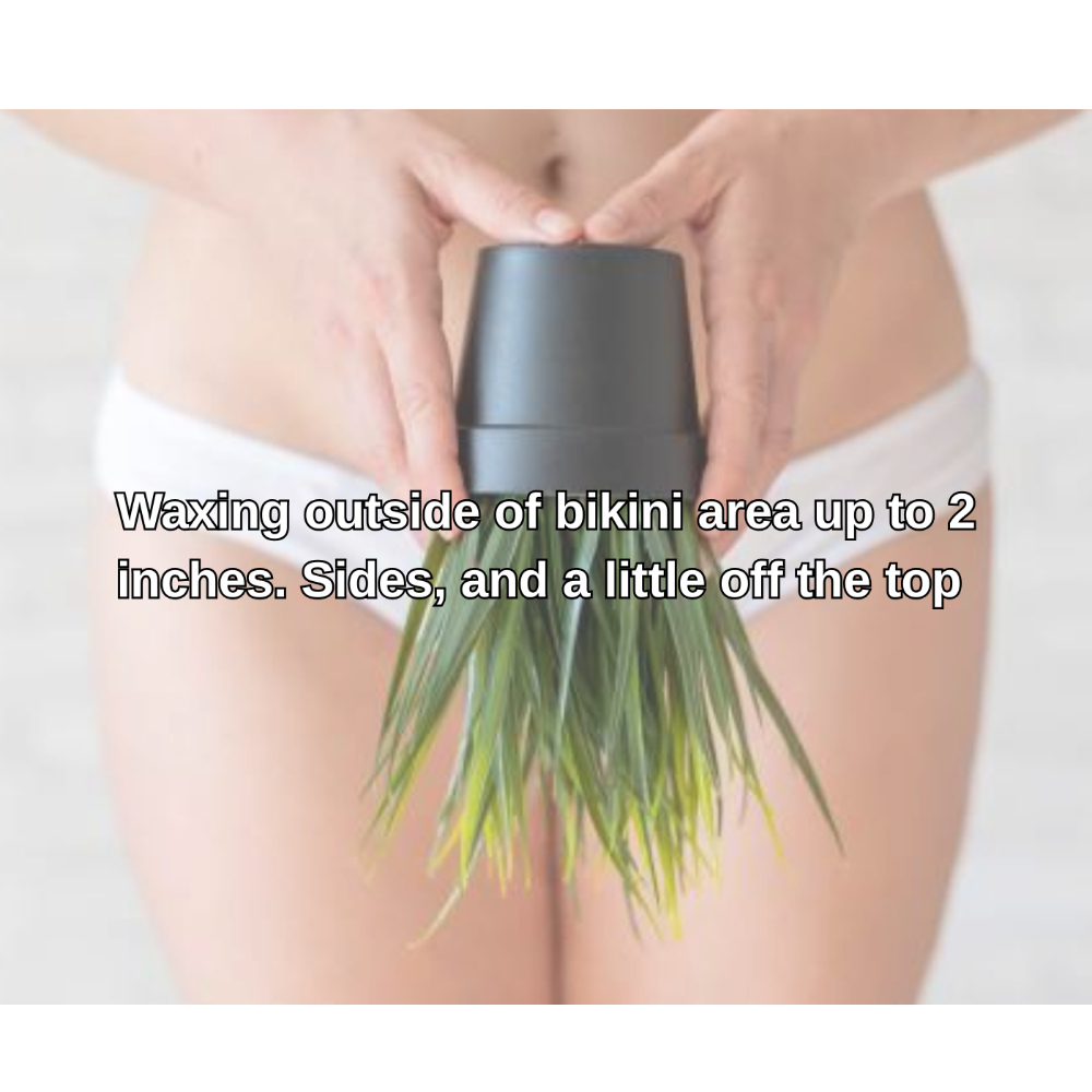 Basic Bikini Wax