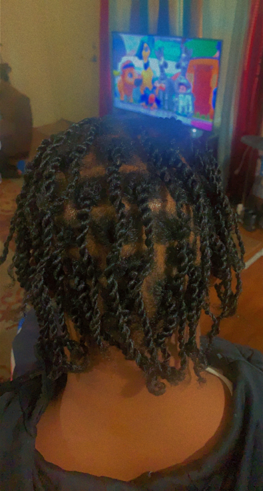 Plaits Or 2 Strands Twist