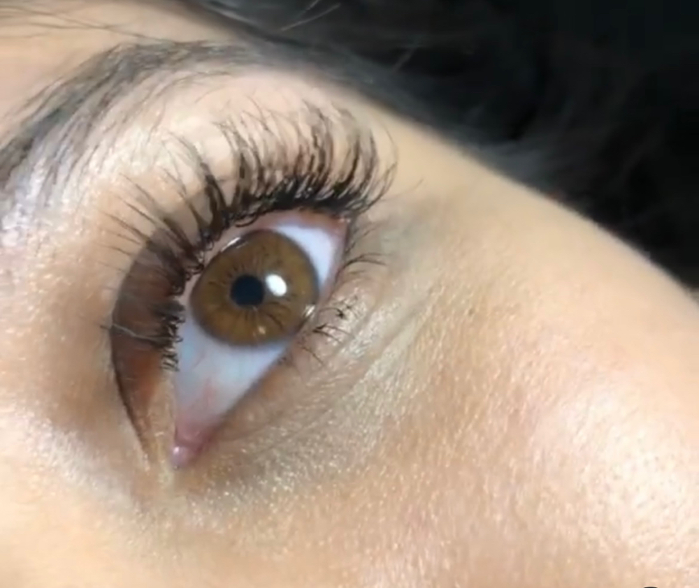 Classic Lashes