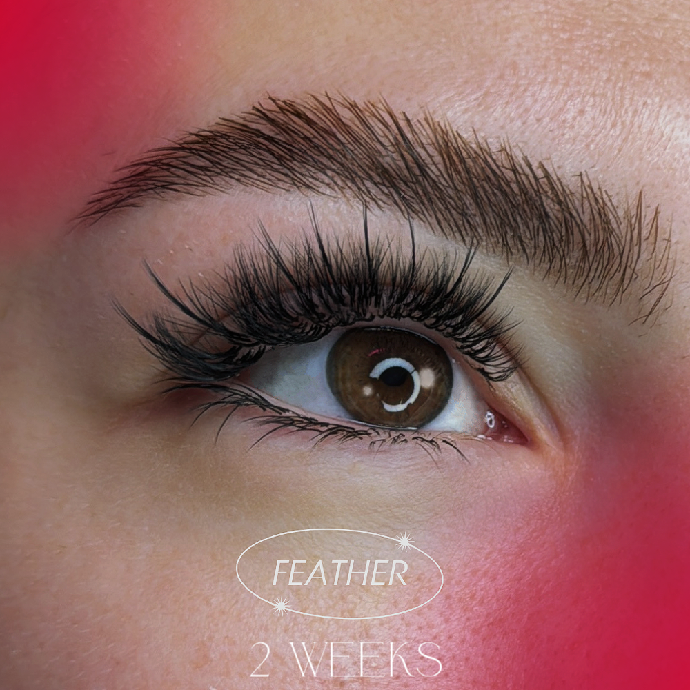 Feather 2 Weeks Fill