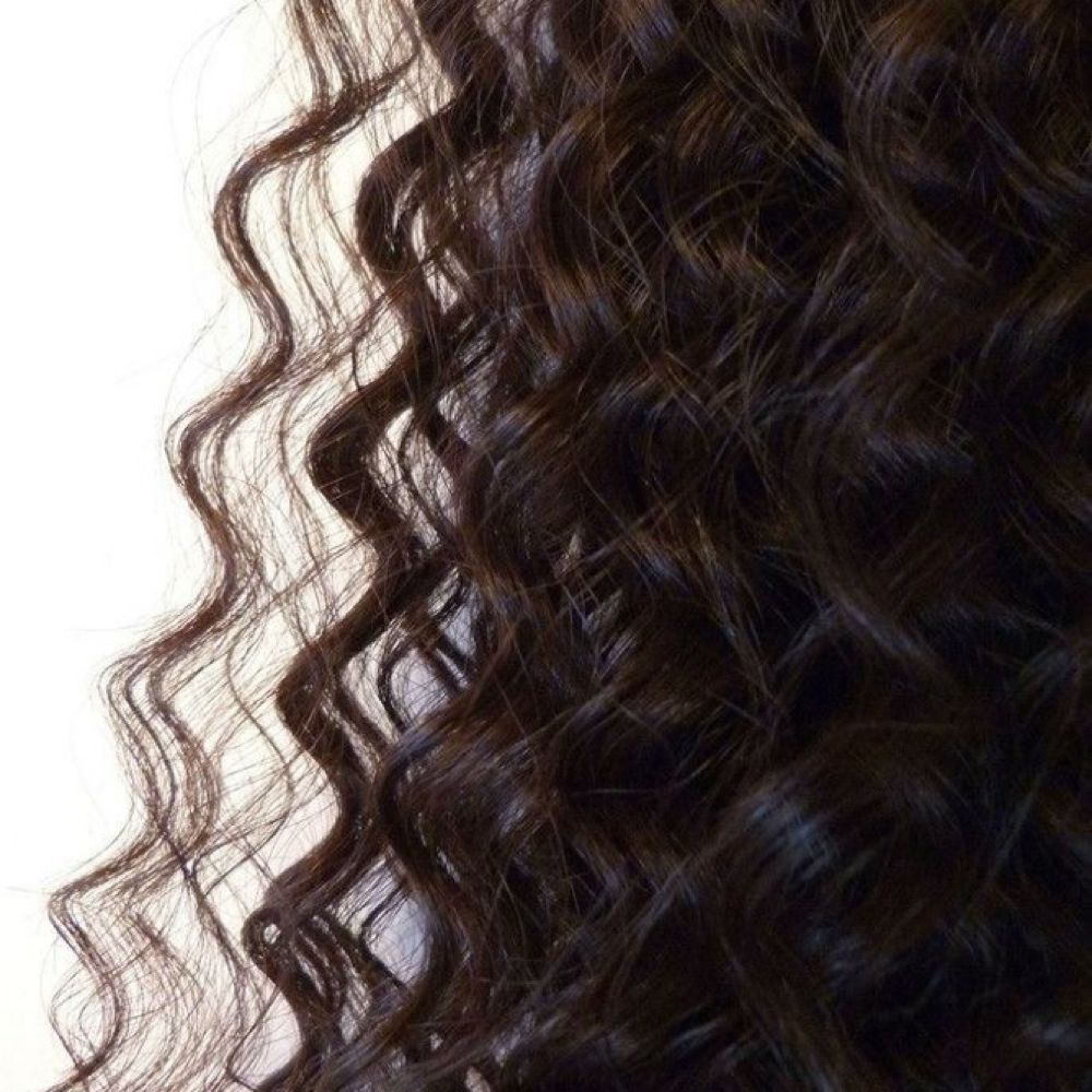 Curly Cut at The Haven Beauty Co. in McDonough, GA