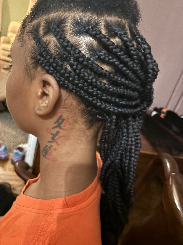 Kids Box Braids Extensions