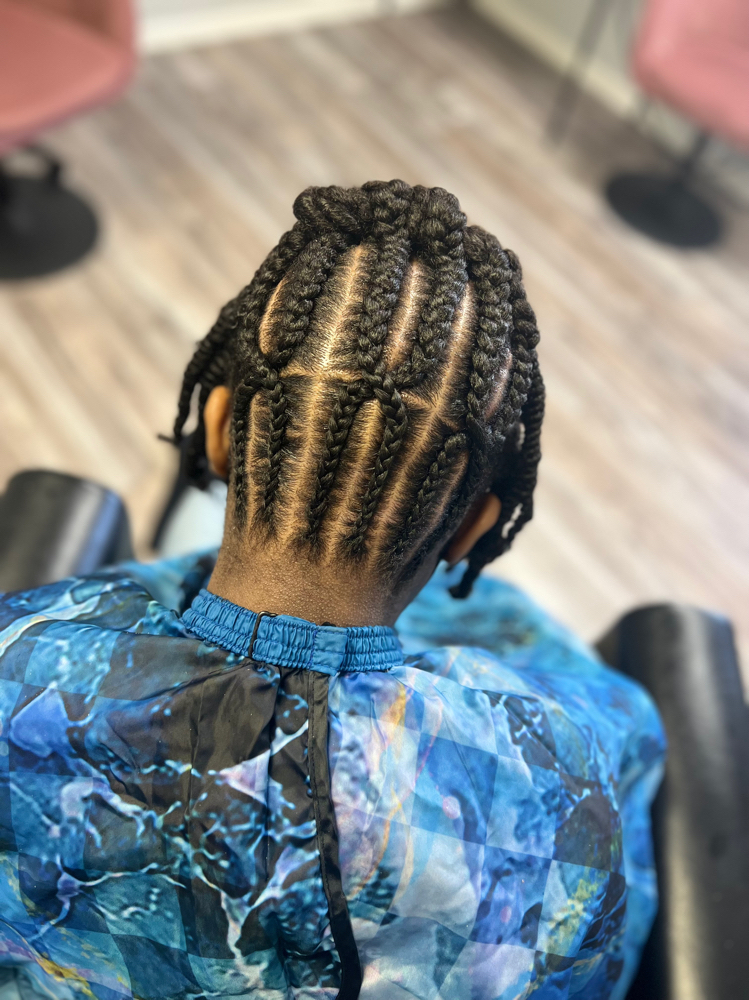 Natural Braided Styles