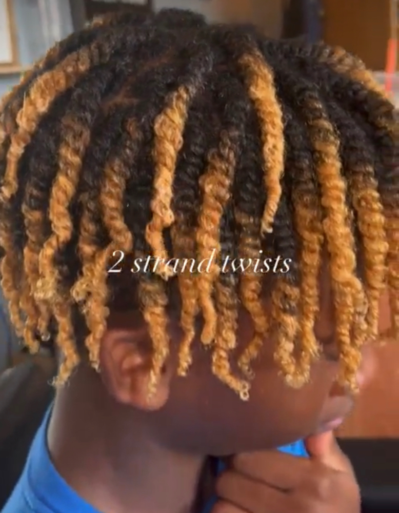 2 Strand Twists