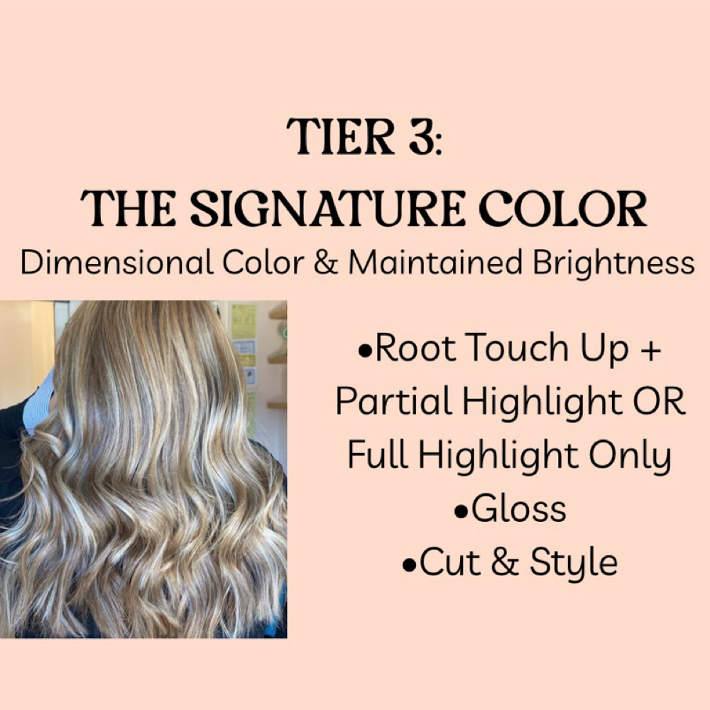 TIER 3 — THE SIGNATURE COLOR at Pin And Tonic Salon in Fort Mill, SC