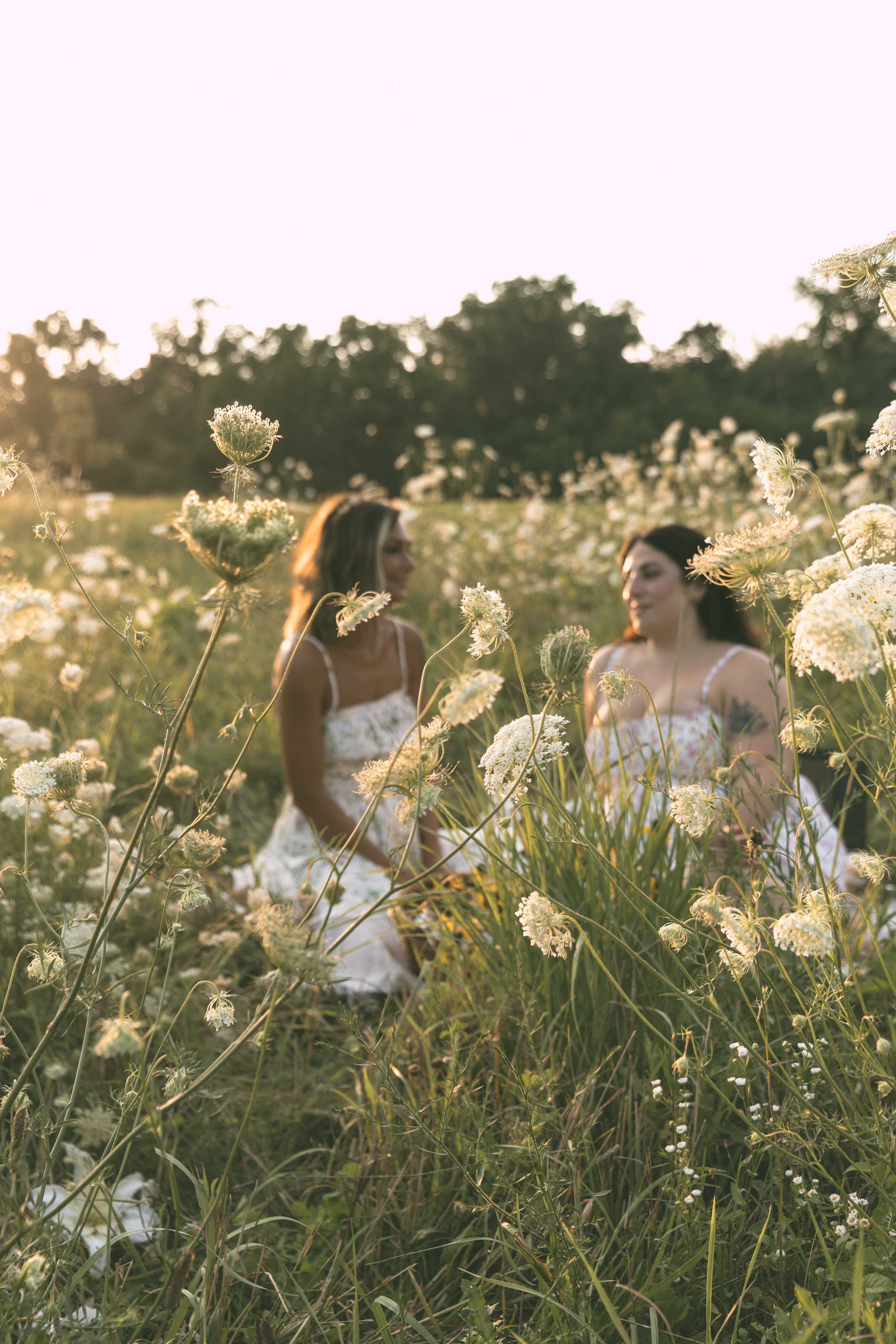 Carboxy Therapy Session at Blush Aesthetics in Valparaiso, IN