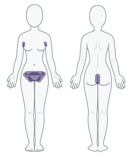 Underarm + Women’s Brazilian