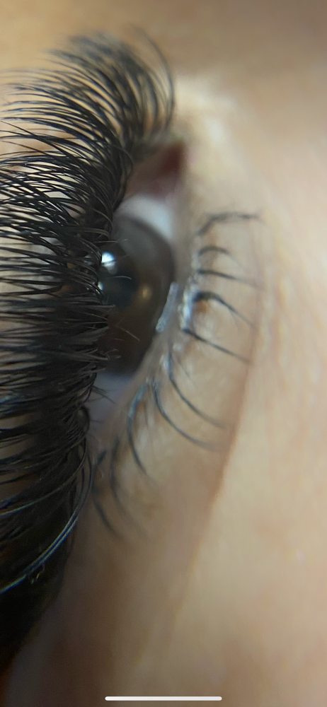 Bottom Lash extensions