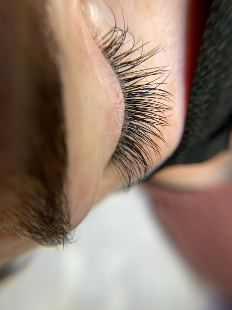 Lash/Hybrid Mink Set