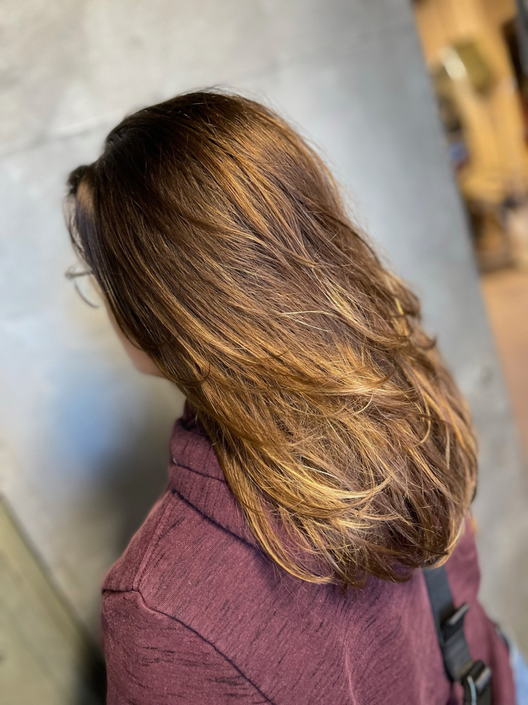 Free Color Consultation
