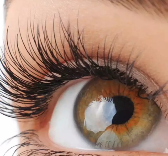 Eyelash Lift w/ Tint