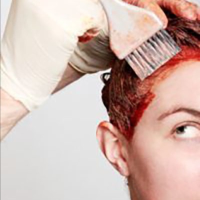 Root Touch Up with Haircut at Elizabeth Nicole Salon in Walnut Creek, CA