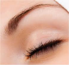 Brow Wax/Lash or Brow Tint