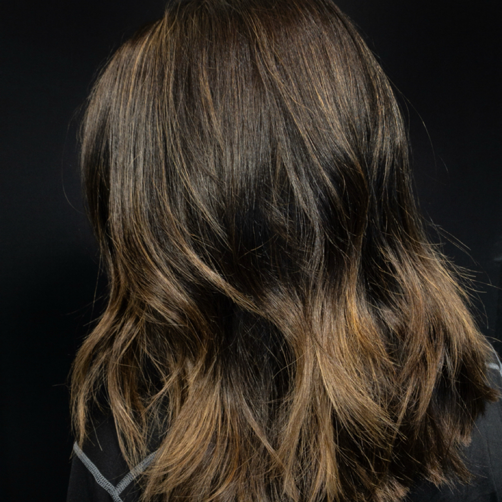 Color Retouch, Partial H/L, & Cut at Jessica Wilson Gloss in Rocky River, OH