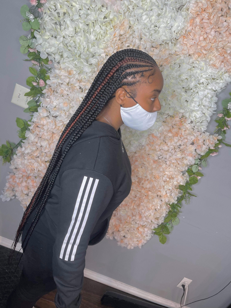 Medium Fulani Braids at StyledBy Ty in Milwaukee, WI