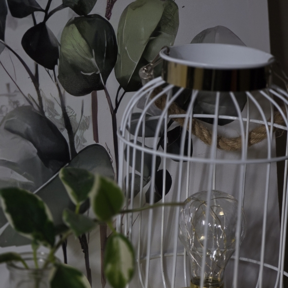 Regenerative Treatment