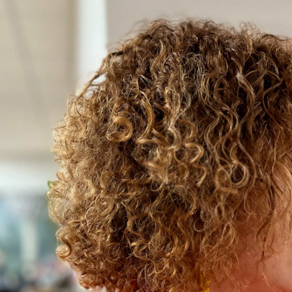 Curly Signature Haircut at Modish Salon in Duluth, MN