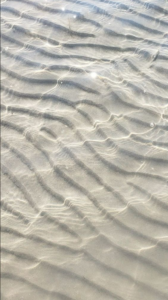 Content Model Facials