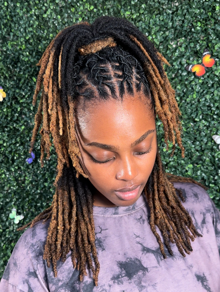 Loc Retwist + Basic Style