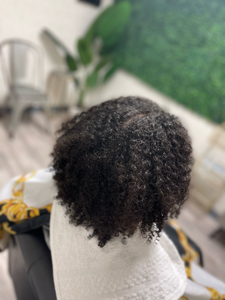 Shampoo/Treatment(Blow Dry Only)