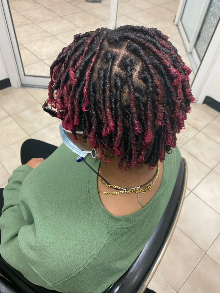 Starter Locs