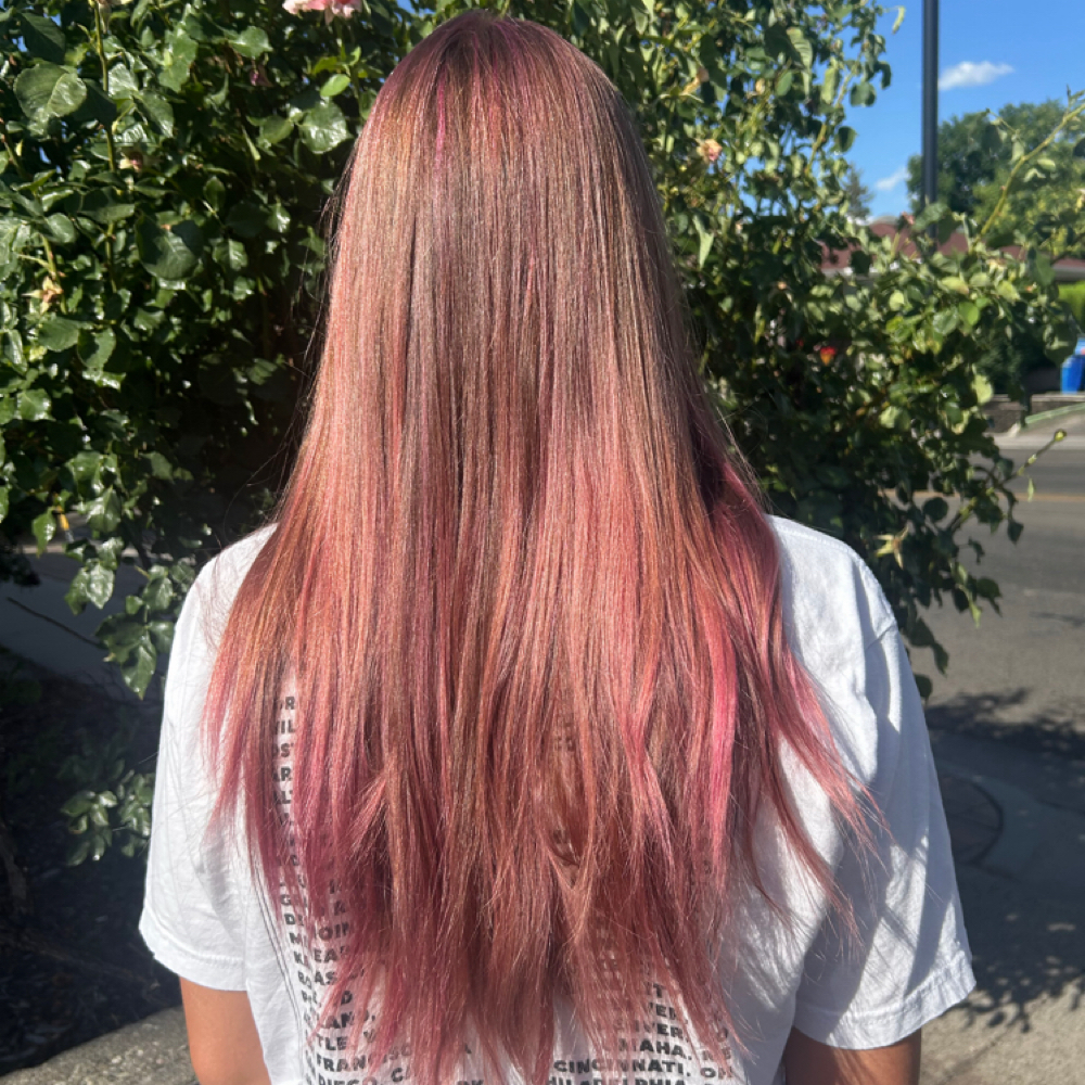 Toner at 5D Salon in Salt Lake City, UT