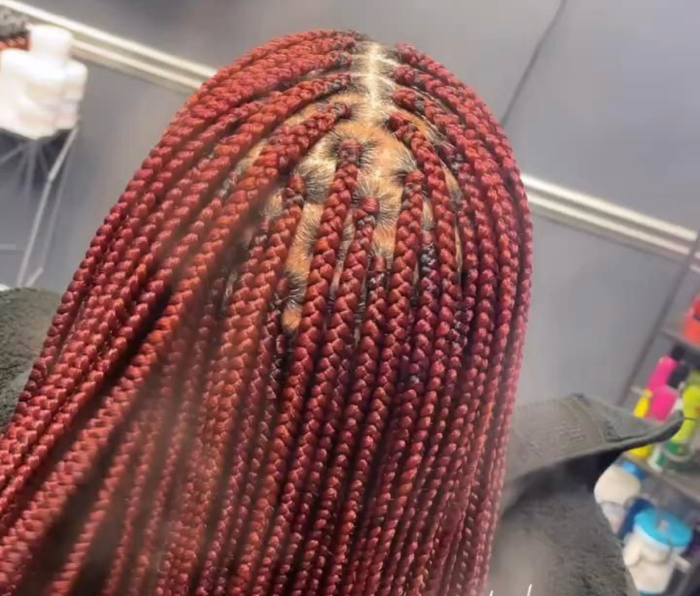 Small Box Braids(W/ HAIR)