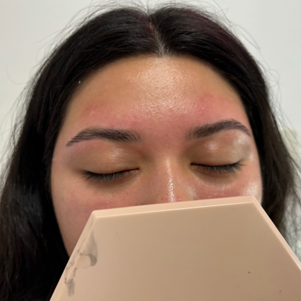 Eyebrow Wax at LANAESTHETICZ in Castro Valley, CA