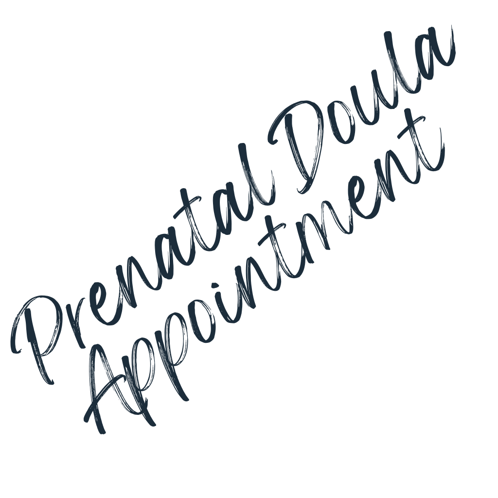Prenatal Doula Appointment