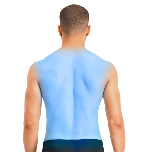 Full Back/Espalda Completa